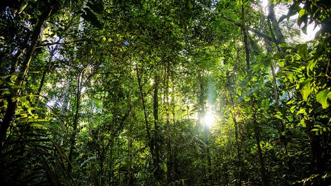 Recuperação Ambiental