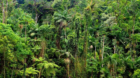 Interpretação ambiental