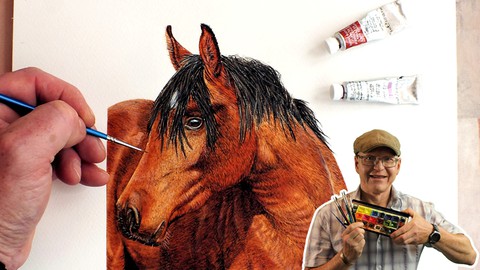 Watercolor Lesson, How To Paint a Horse's Head