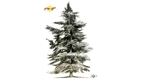 Karakalem Ağaç Çizimi Resim Kursu | Tree Drawing Course