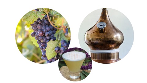 Pisco Certificate Course-Become an Expert in Peruvian Pisco