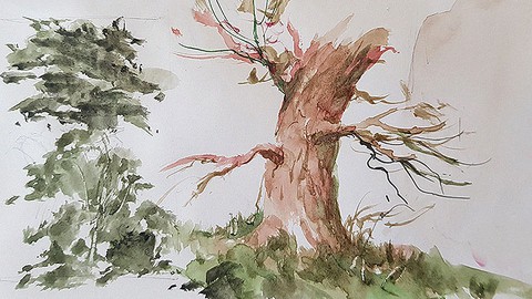 How to paint trees in watercolor like professionals!