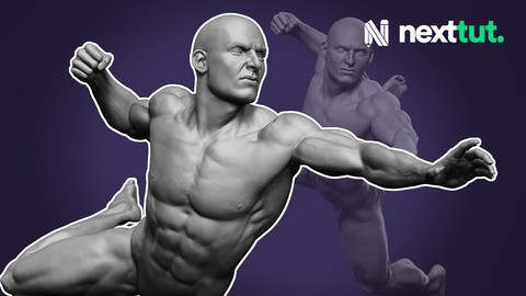 Dynamic Male Anatomy for Artists in Zbrush