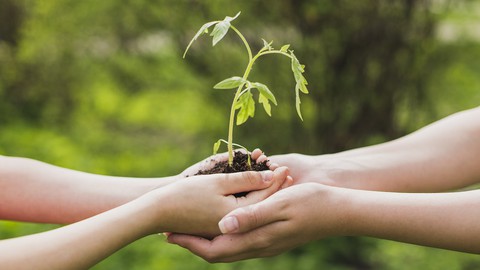 Meio Ambiente e Sustentabilidade