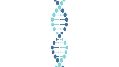 Genetics For Dummies: Learn The Basics