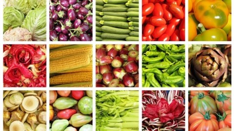 Nutrición Sana. Alimentación útil frente al Estrés.