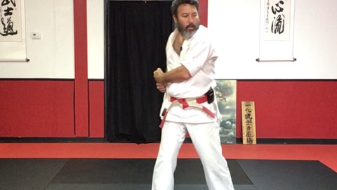Dissect the Dissection of Isshinryu:  Naihanchi Kata