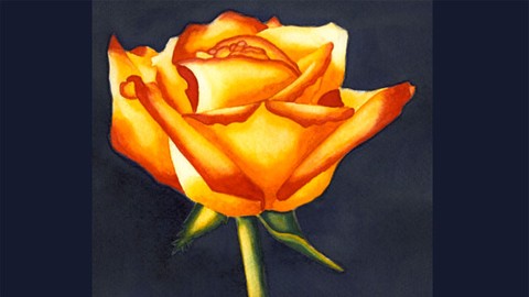Paint a Watercolor Rose - Watercolor Painting for Beginners