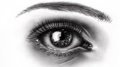 Fundamentals of Drawing- Beginner to Advanced