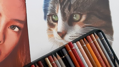 ( Colored Pencil ) Hiperrealism Kuru Boya Çizim Kursu