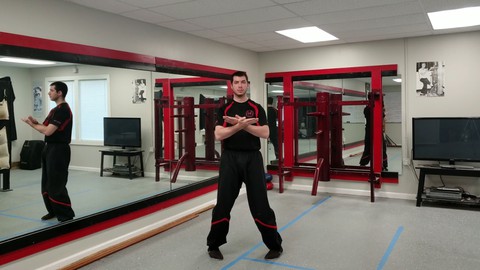 Learn the complete Wing Chun Siu Nim Tau (Little Idea) form