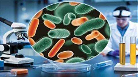 General Bacteriology: A Concise Course for College Students