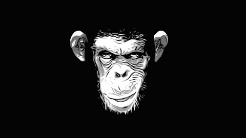 Guerrilla Hiring - Don't Hire Monkeys to Run your Company