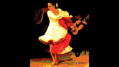 Flamenco Gitarre lernen