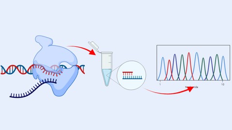 Molecular Biology: Gene Expression Techniques and Cancer