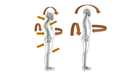 Joint-Wise Yoga