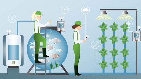 Aquaponics Fundamentals: Learn The Essentials of Aquaponics