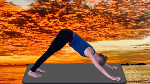 Grundkurs Ausrichtung im Yoga - Teil 1: Basismodul