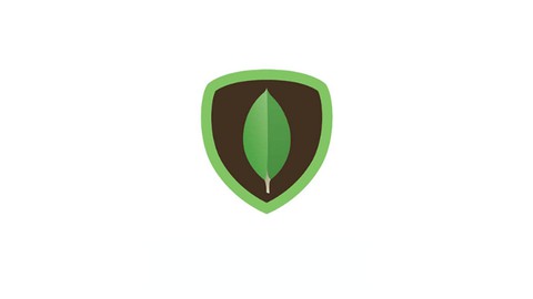 L'administration d'un serveur MongoDB