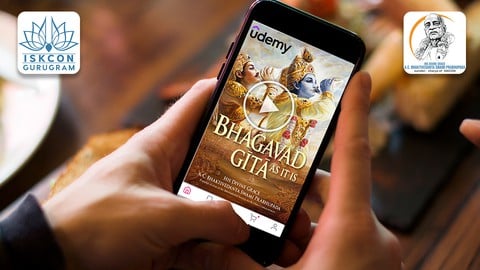 Gita on the Go - Hindi