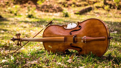 Cello - violoncelo - Curso para Iniciantes