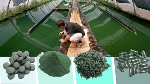Spirulina دورة في زراعة وإنتاج طحالب السبيرولينا