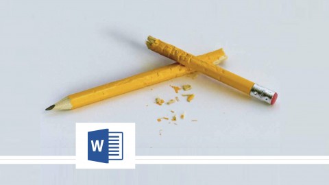 Microsoft Word 2013: Beginner to Advanced