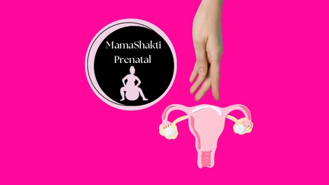 YOUR Menstrual Cycle & Female Reproductive Health