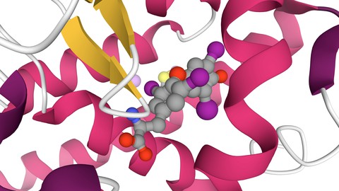 Molecular Docking