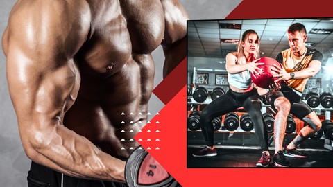 Be A Complete Fitness Trainer: Beginner To Advanced