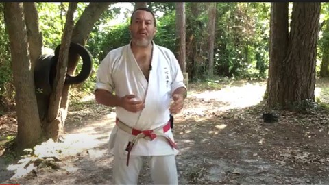 Karate Kicks Every Karateka Needs to Know