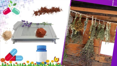 Fitoterapia: Plantas Medicinais e Chás Faça Cápsulas Em Casa