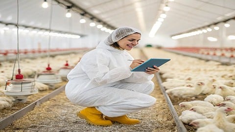Broiler Farming Masterclass: Crash Course for Beginners