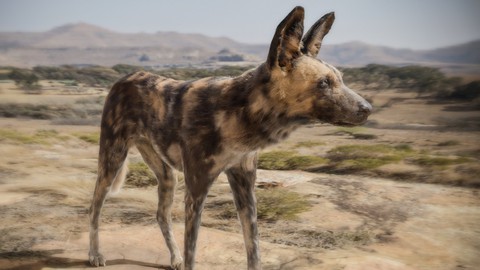 Realistic Animal Creation in Blender