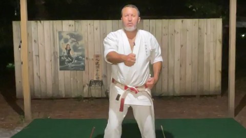Dissect the Dissection of Isshinryu: Chinto Kata