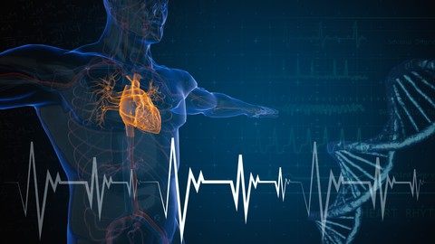 Fisiologia Cardiovascolare: un Corso Essenziale