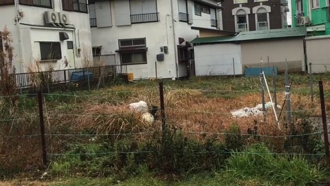 耕作放棄地や荒地を、簡単に、家庭菜園や小規模農園に変換しよう