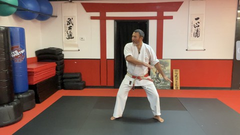 Dissect the Dissection of Isshinryu Karate: Chinto Bunkai