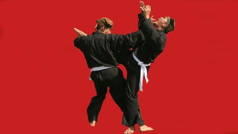 Pencak Silat - The Basis of Pencak Harimau