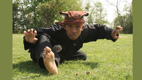 Pencak Silat - Les Bases du Pencak Harimau