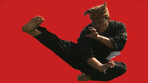 Pencak Silat - La base de Pencak Harimau