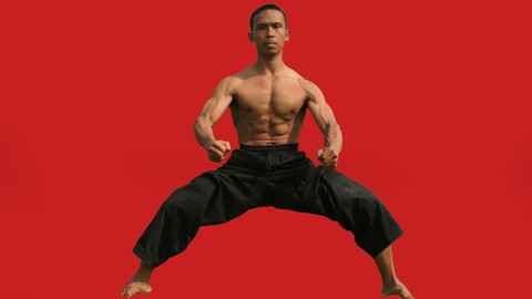 Pencak Silat - Dasar Pencak Harimau