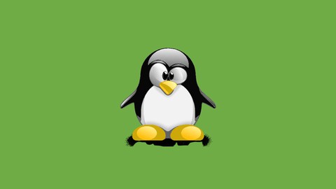 Linux for Devops, Cloud Engineers and Developers