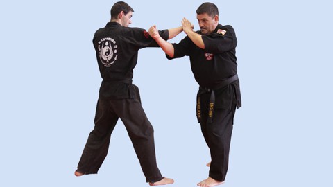 Kajukenbo Belt Promotion - White Belt to Brown Belt