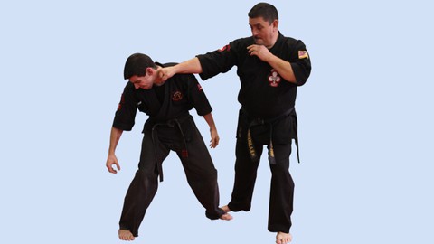 Kajukenbo Passage de Grades - Ceinture Blanche à Marron