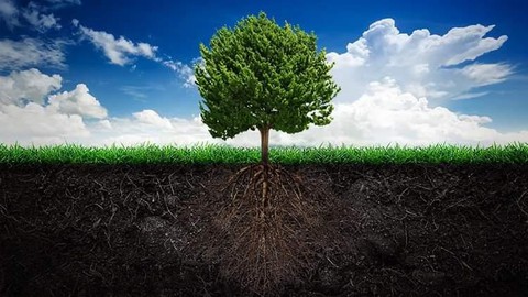El Arbol del Triunfo
