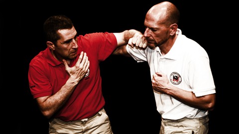 Krav Maga- Krav Defense System - Techniques de base