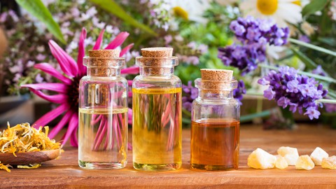Masterclass in Creating Healing Vibrational Plant Essences
