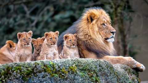 Powerful Leadership Lessons