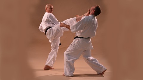 Kyokushin Karate Syllabus programme d'examen Vol.1